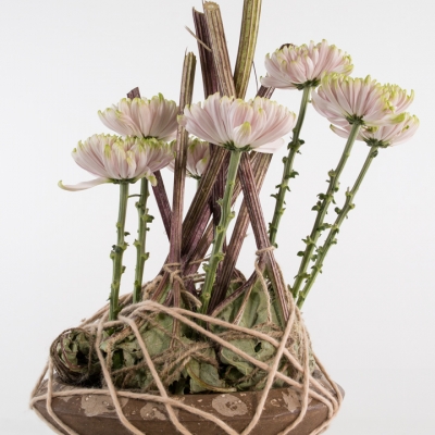 arrangement with Chrysanthemum and butterbur leaves