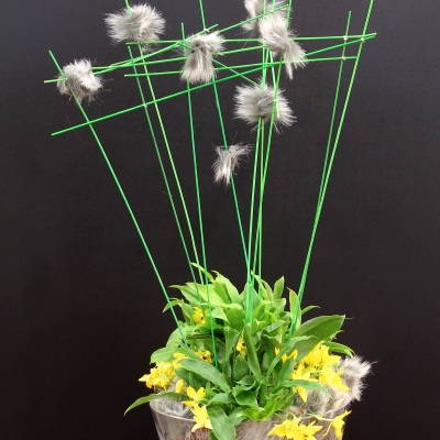 Plantenarrangement van Yvonne Scheenloop