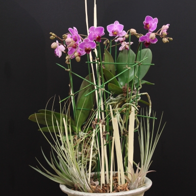 Design van David Ragg