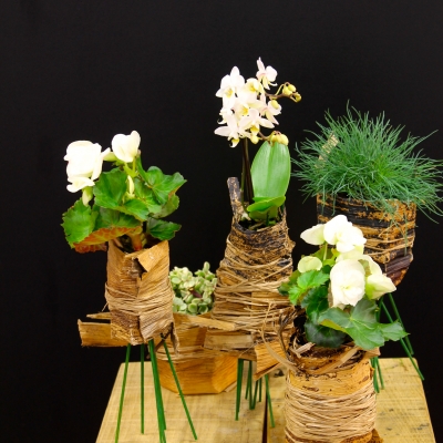 Plantenarrangement van Sarah Dikker