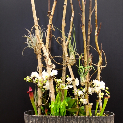 Design van Janneke Camps