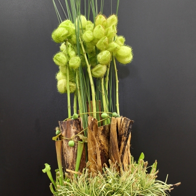 Werk van Regina Motmans