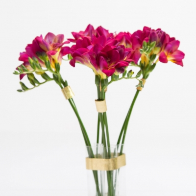 Felroze Freesia's met goud