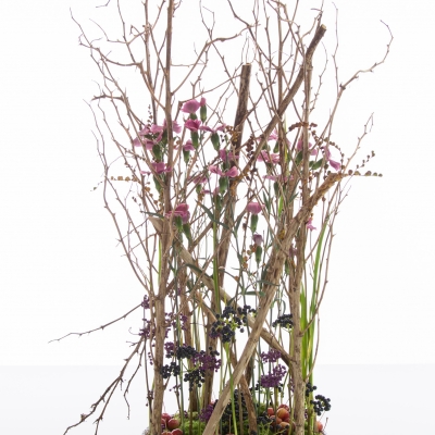 Herfst arrangement met Dianthus en bessen