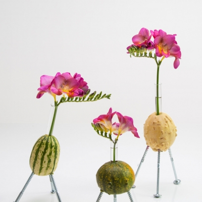 Grappig Freesia design