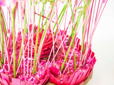 Freesia Heart - close up