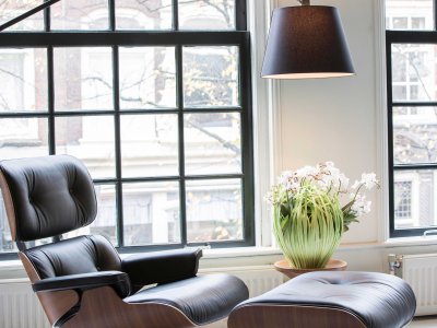 Phalaenopsis in fineer