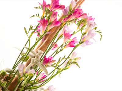 Freesia arrangement