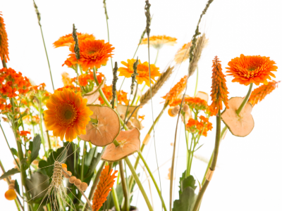 Retro composition with Germini - close up