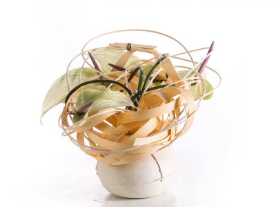 Anthurium design van Pim van den Akker