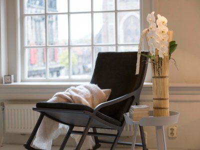 Phalaenopsis 'Formidablo' in the bedroom