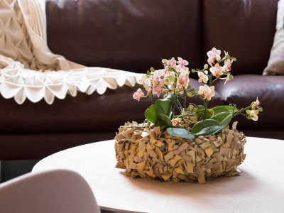 Arrangement met miniatuur orchideeën