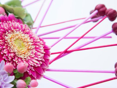 Passion heart - close up