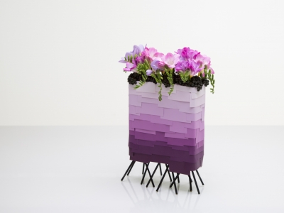 50 tinten paars - Freesia Freestyle