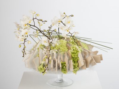 Spring design by David Ragg