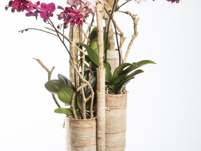 Basis met natuurlijk materiaal