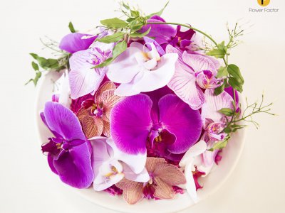 Schaal vol Phalaenopsis