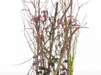 Autumn flower arrangement with Dianthus and berries