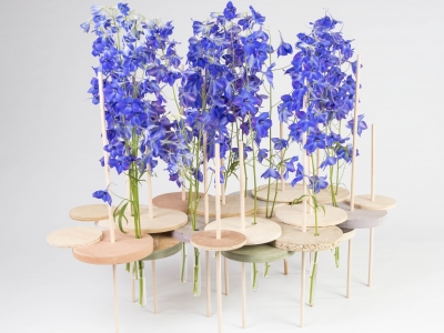 Delphinium design