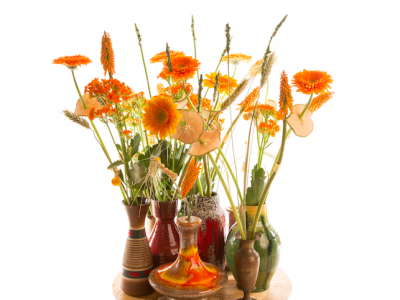 Retro composition with Germini