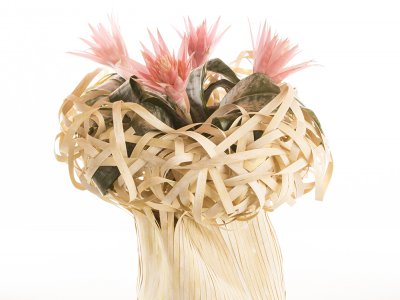 Aechmea Primera design