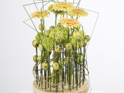 Zachtgele gerbera's van Pim van den Akker