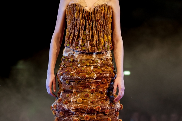 Reed cigar dress - total