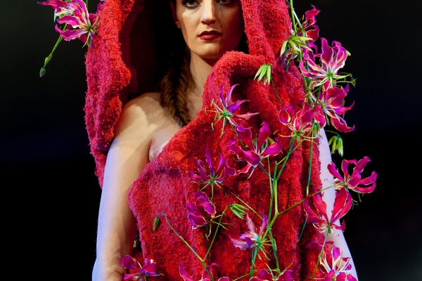Luscious red dress with Gloriosa - front