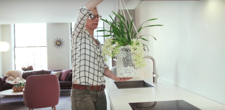 Cascade Cymbidium DIY