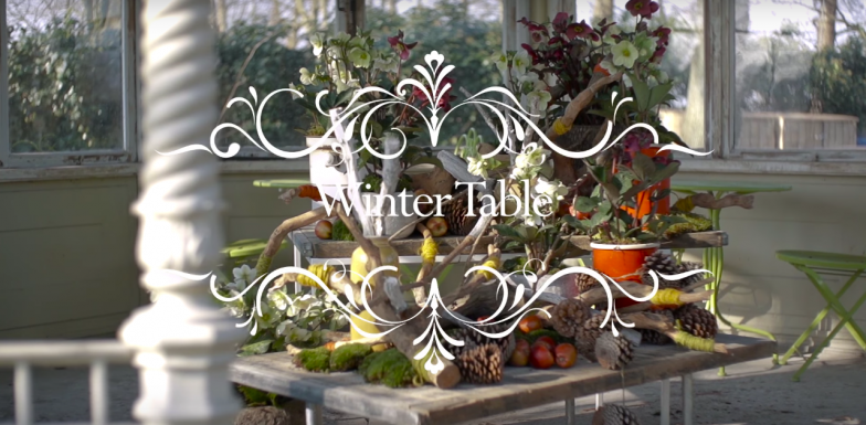 Wintertafel met Helleborus 