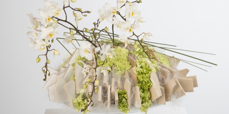 Spring design by David Ragg