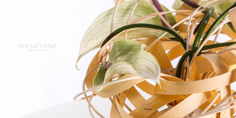 Anthurium design by Pim van den Akker at Sikastone