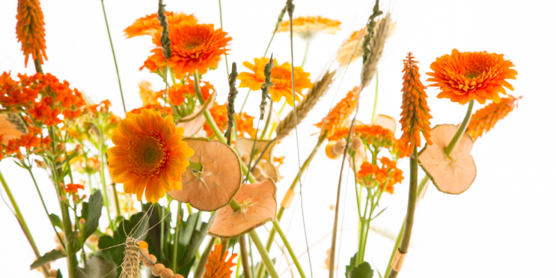 Retro composition with Germini - close up