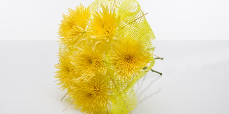 Summer creation - Zentoo mood board 