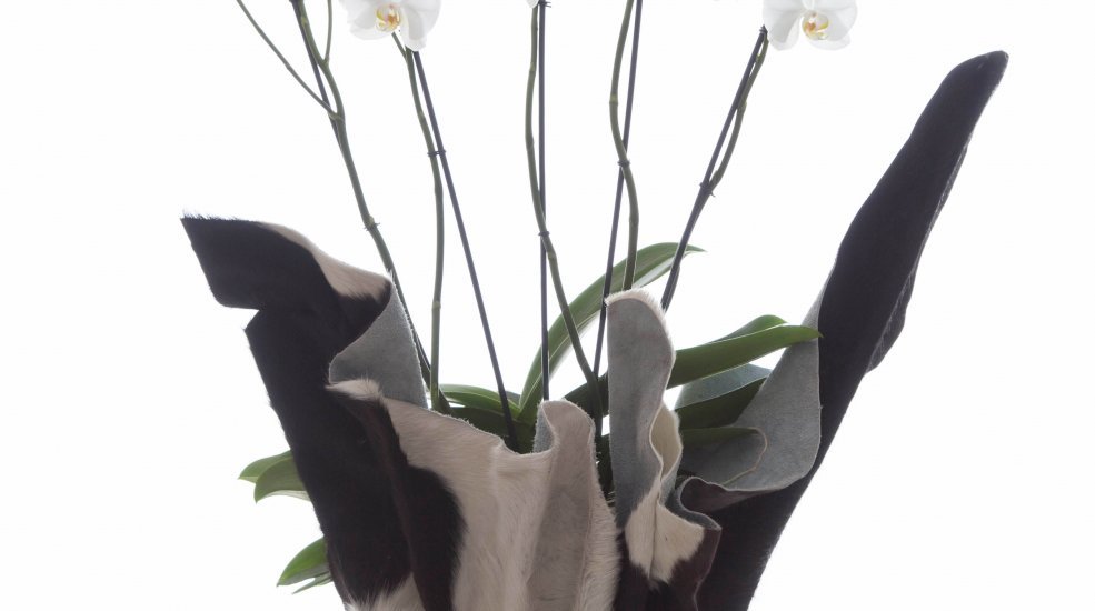 Opti flor interieur wit keuken