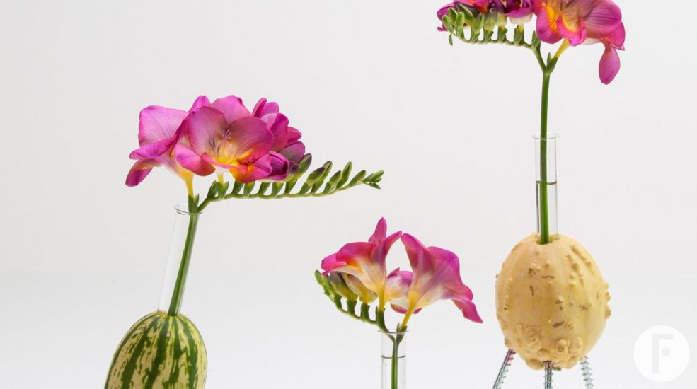 FreestyleFreesia fun freesia design Flower Factor