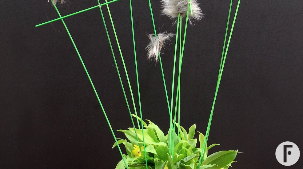 foto 10 Yvonne Scheenloop 3