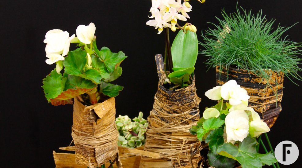 foto 9 Sarah Dikker 3