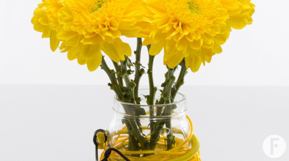 zentoo zomer moodboard design