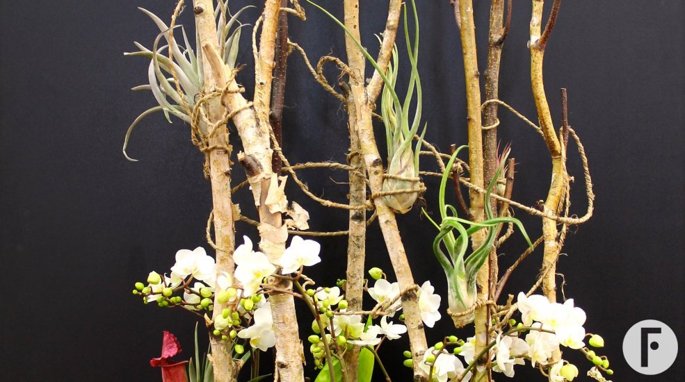 foto 12 Janneke Camps 1