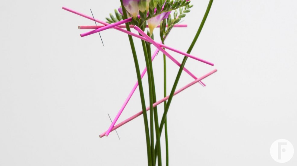 FreestyleFreesia pink freesia vase design close up Flower Factor