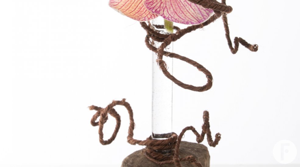 Phalaenopsis design Nelleke 1