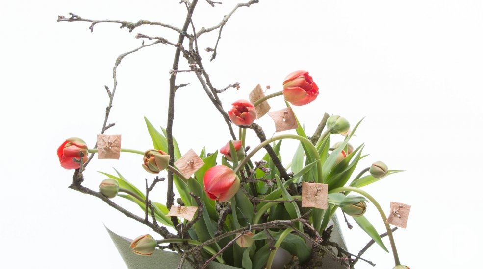 tulips design total