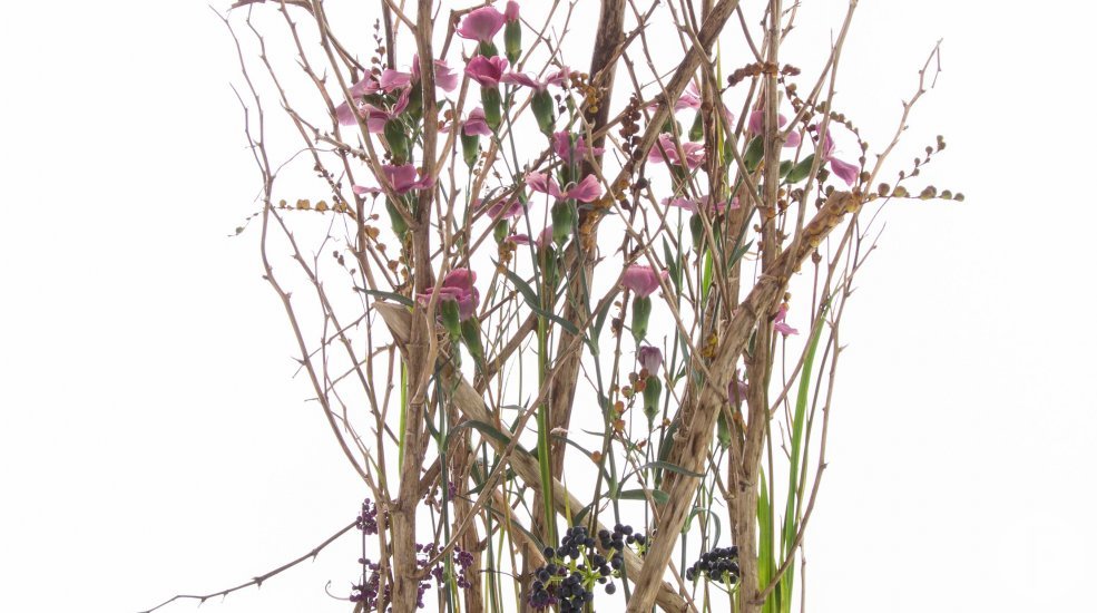 autumn design with Dianthus and berries by David Ragg Flower Factor totaal sRGB