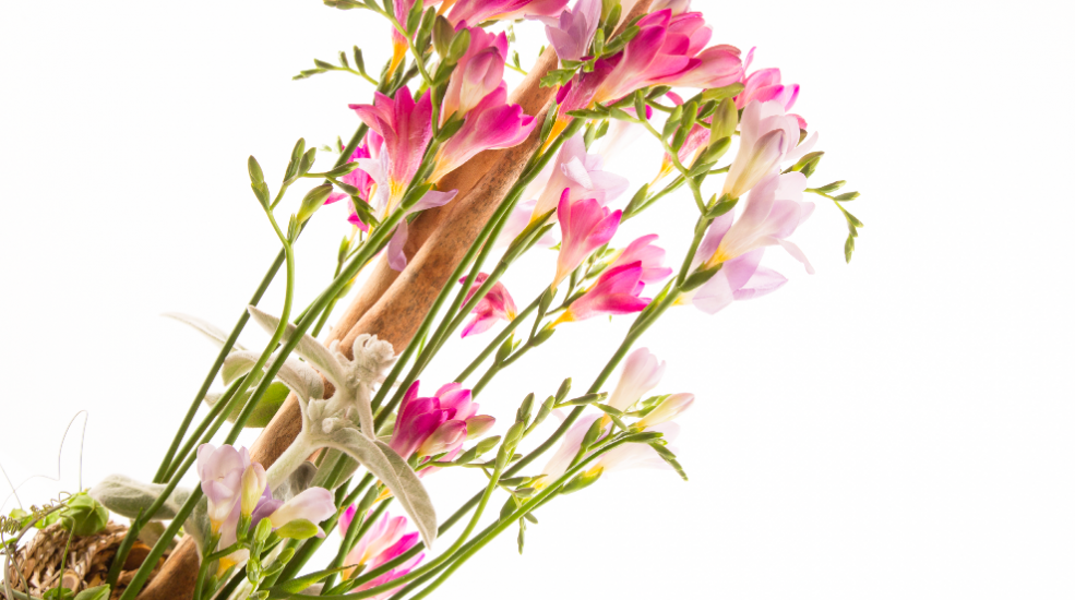 sneak peek Flower Factor design with Hofland Freesia