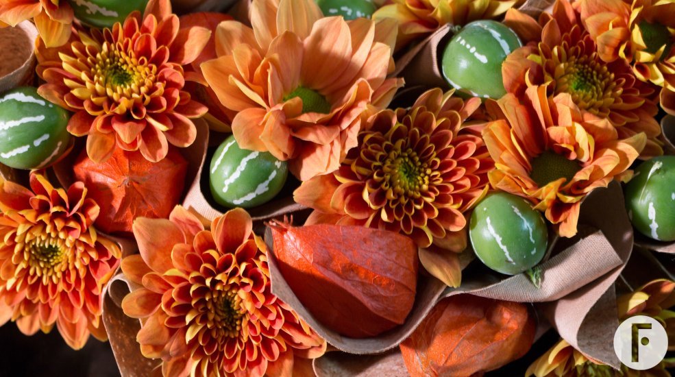 Moodboard Zentoo 532 sRGB