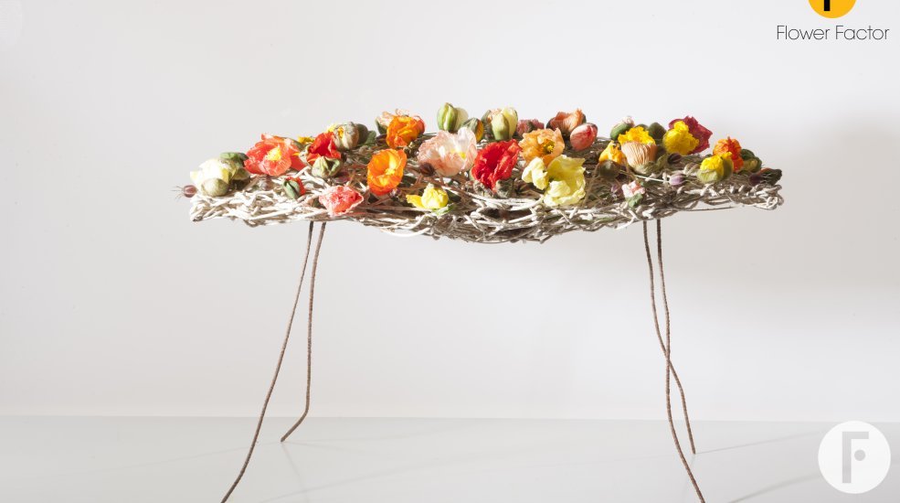 PimvandenAkker 9541 kopie klaprozen