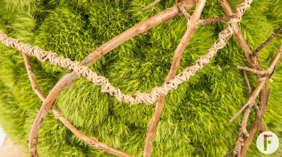 foto tutorial 1 teaserfoto close