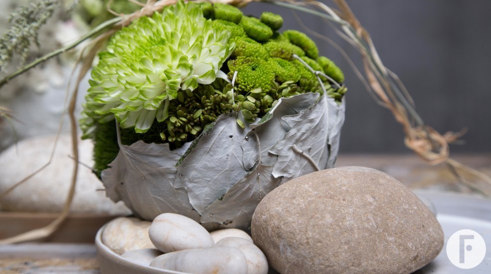 stone landscape Klaus Wagener Flower Factor close up green