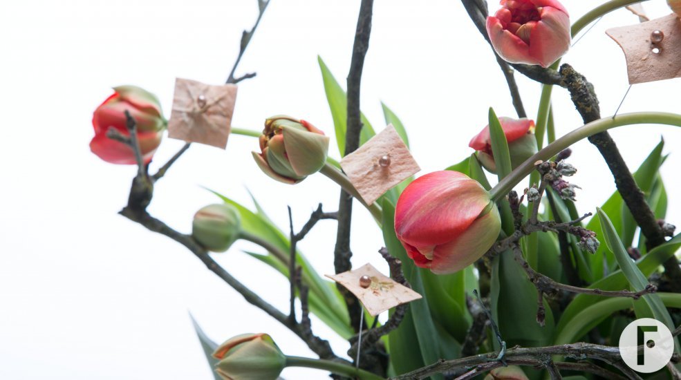 tulip design close